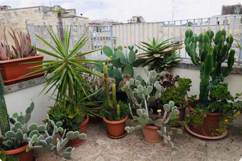 Fior Di Loto Villa Lecce Bagian luar foto